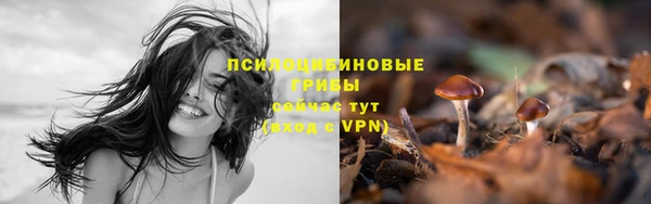 а пвп мука Дмитров