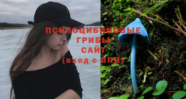 а пвп мука Дмитров