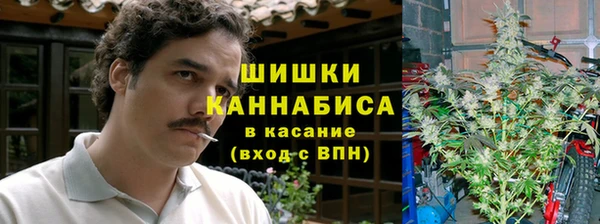 ГАЛЛЮЦИНОГЕННЫЕ ГРИБЫ Дмитровск